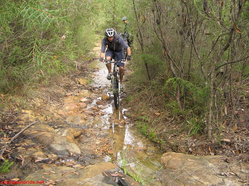 20090405-Mooney 193.jpg